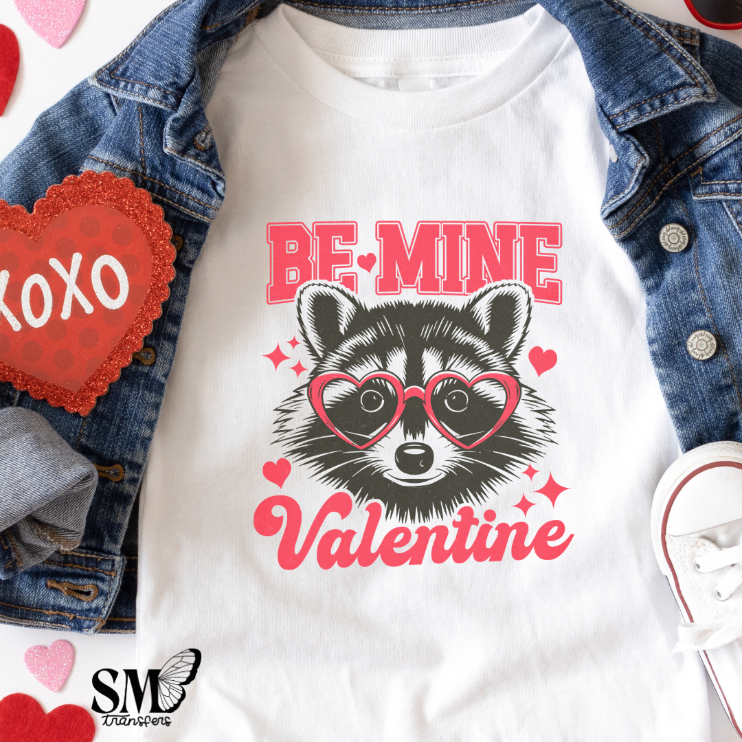 Be mine valentine racoon